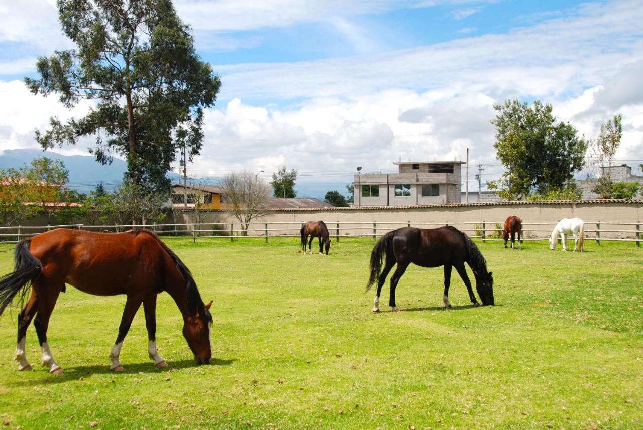 Hacienda Cusin Hotel Otavalo Exterior photo